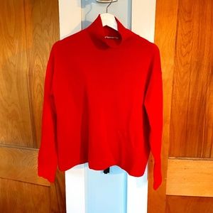 Everlane Cashmere Square Turtleneck Sweater